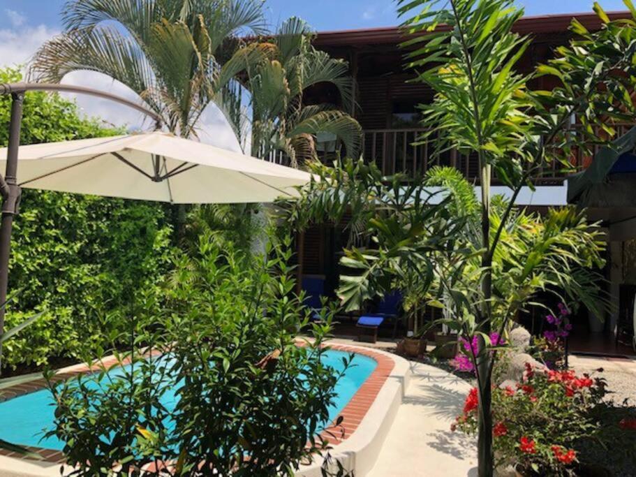 Casa Toucan Mit Privat Pool Near Np Ballena Uvita Exterior photo