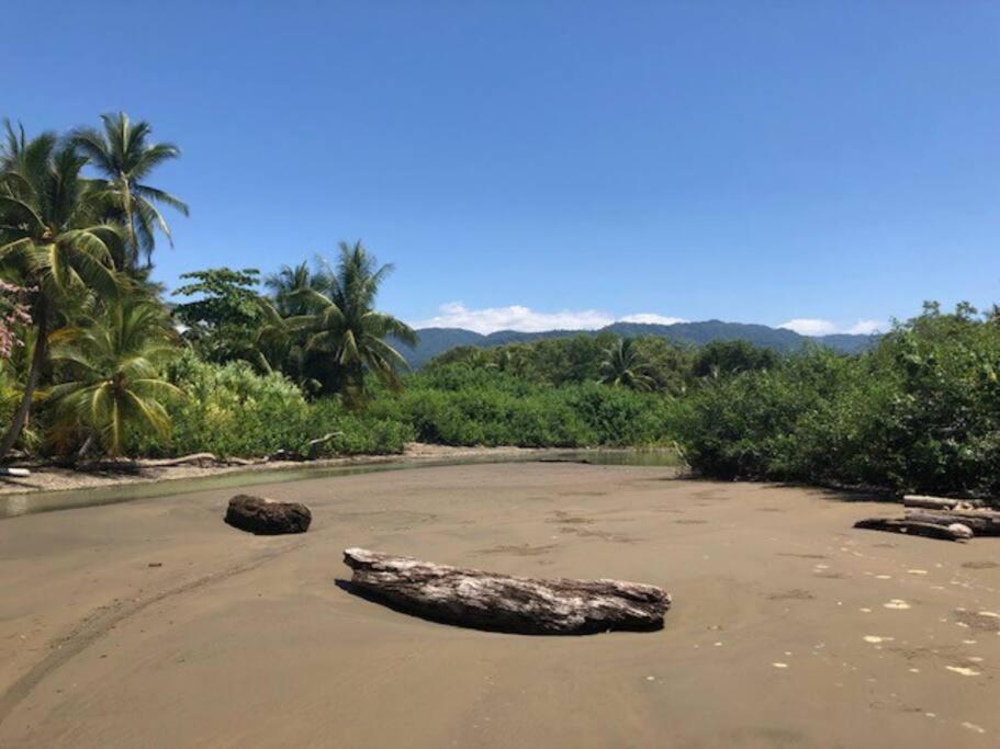 Casa Toucan Mit Privat Pool Near Np Ballena Uvita Exterior photo